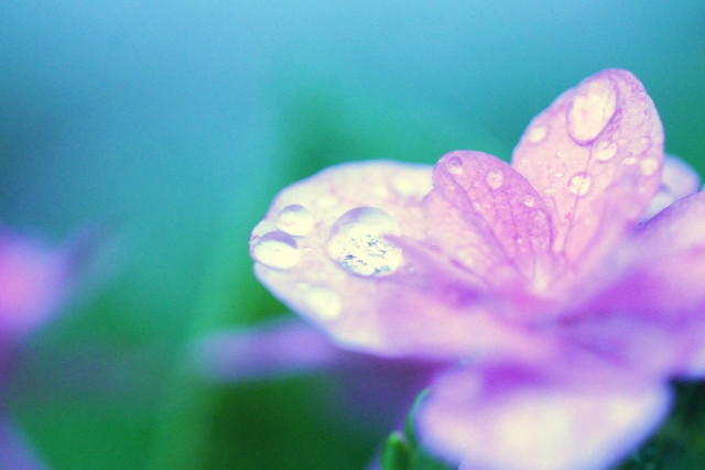 気はすぐに移る 運気が良い人と一緒にいるとすぐに気は上がるが 悪い人と一緒にいるとすぐに下がる Naomi道